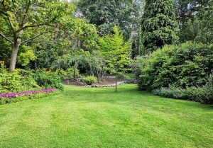 Optimiser l'expérience du jardin à Saint-Ouen-du-Mesnil-Oger